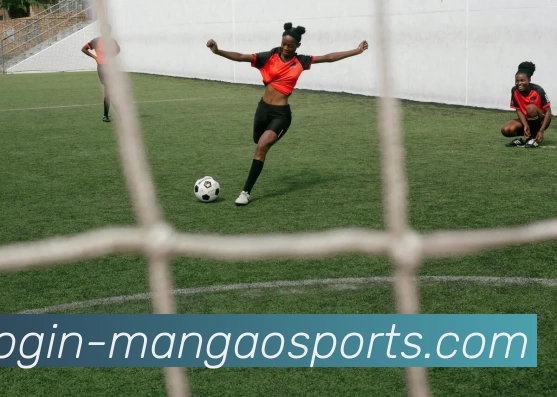 多媒体互动体验